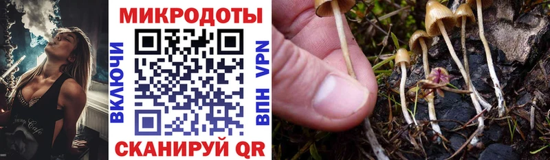 Псилоцибиновые грибы прущие грибы  Купить закладки  Невинномысск 