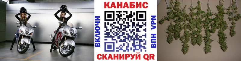 Каннабис конопля Невинномысск